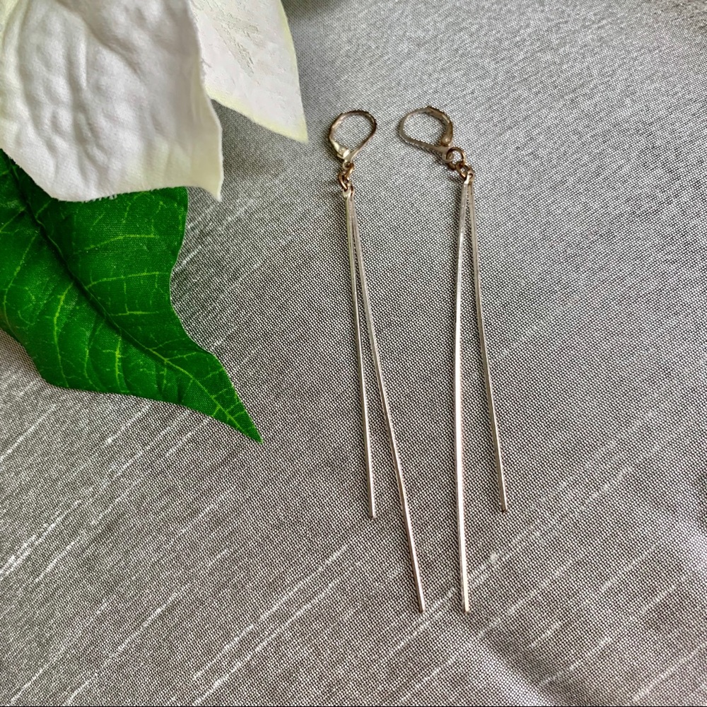 Silver Dangle Earrings